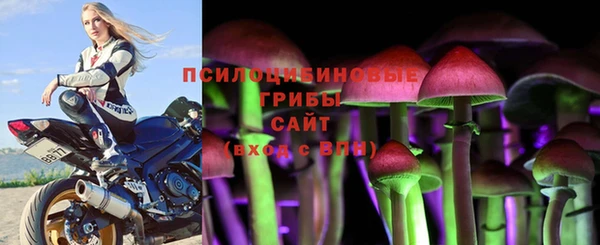 прущая мука Магадан