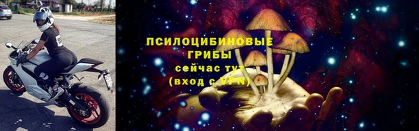 прущая мука Магадан